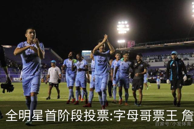 全明星首阶段投票:字母哥票王 詹姆斯西部票王